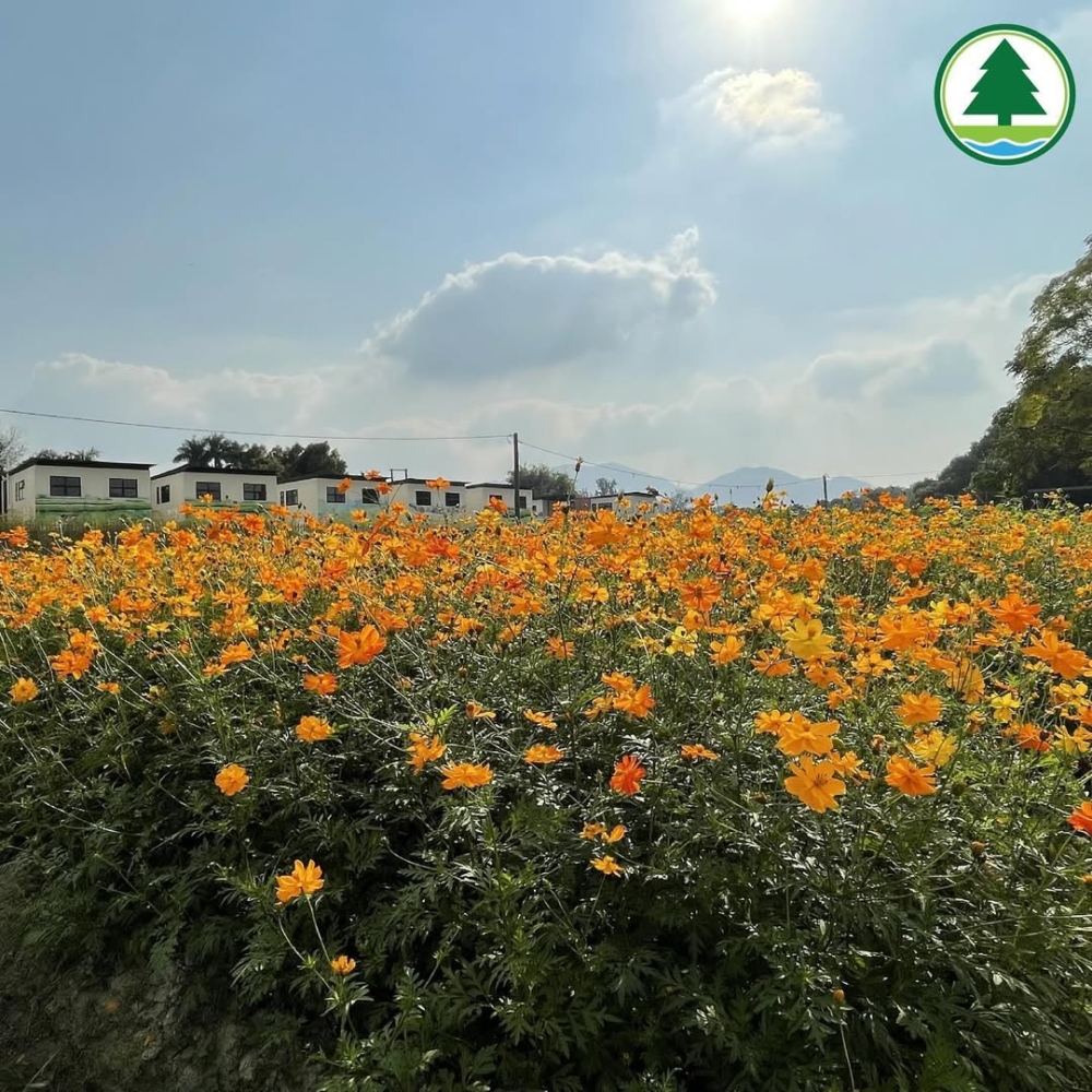 園內結合了濕地保育與傳統農耕，擁有超過200種本地鳥類棲息