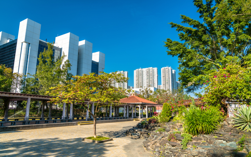 沙田結合自然景點與地道美食，是親子放電、情侶打卡、假日休閒的熱門一日遊好去處。