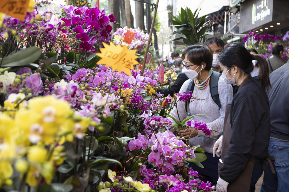 花墟聚集了超過100家花店和園藝店,販售各式本地及進口鮮花、盆栽和園藝用品,是愛花人士和園藝達人的天堂