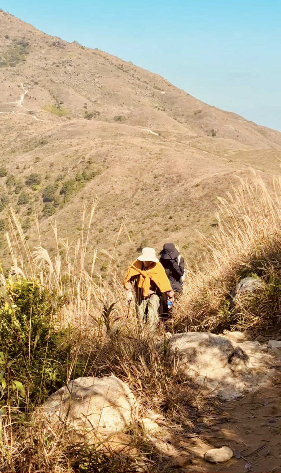 大東山有多條登山路線，難度與距離各有不同。
