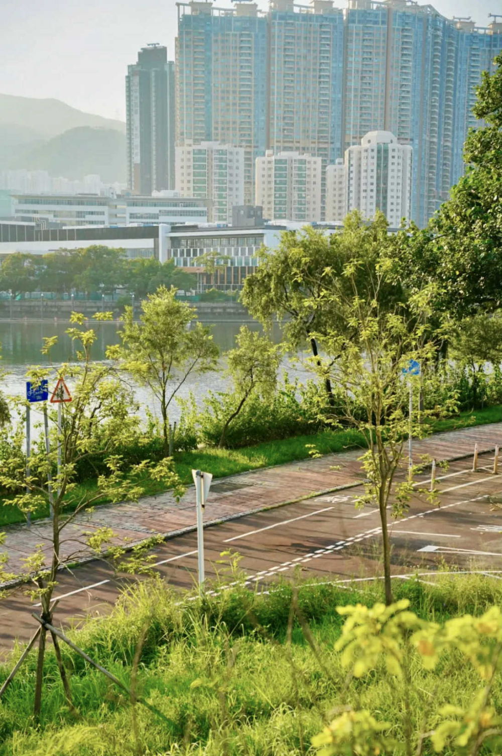 沙田好去處推介:城門河畔單車徑。