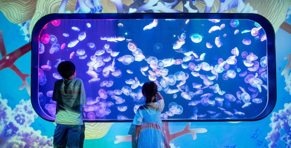 位於荃灣 Plaza 88 的 香港浩海立方探游館，是全港首個以海洋探索為主題的室內體驗館。場館佔地超過萬呎，透過沉浸式投影和視覺藝術，讓大小朋友能探索神秘的海洋世界。館內設有「光影海洋觀景窗」、VR海洋探秘之旅及水母萬花筒等主題區。