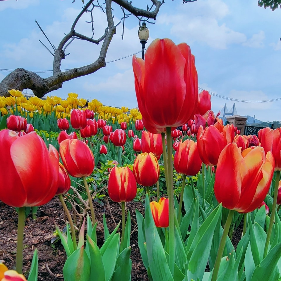馬灣一日遊好去處推介：馬灣大自然公園。