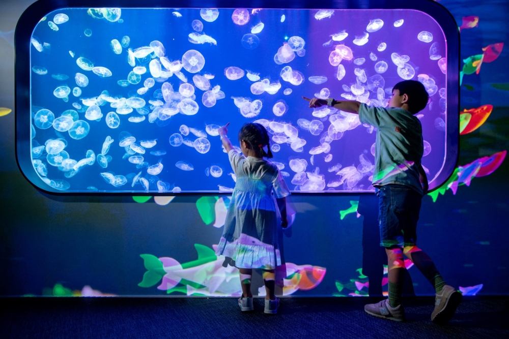 浩海立方•探游館 Cube O Discovery Park