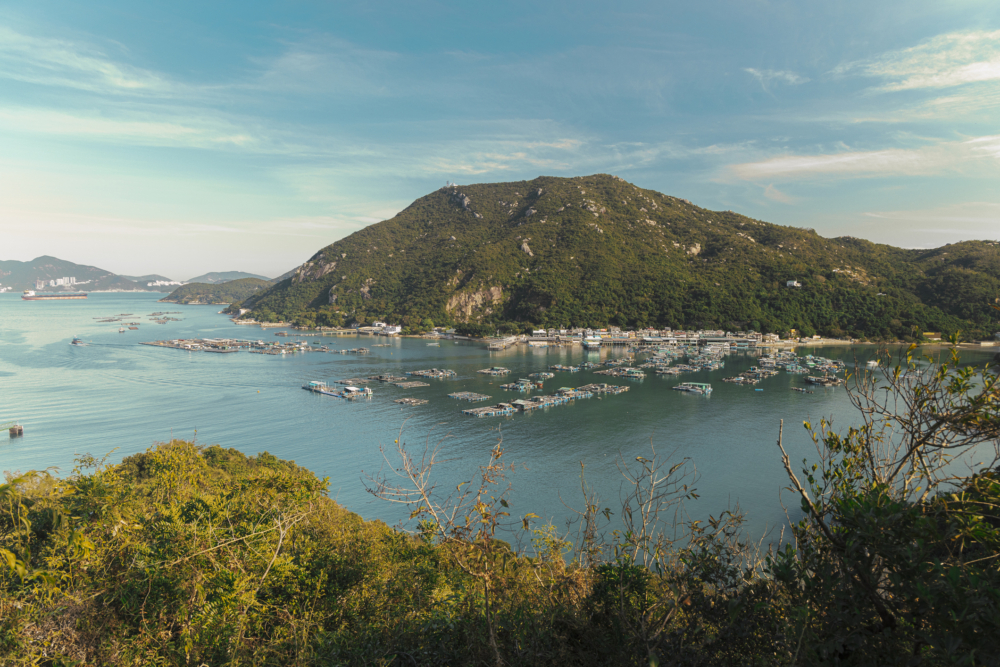 南丫島以其獨特的漁村風情和多元文化融合，成為最受歡迎的離島假日好去處之一。