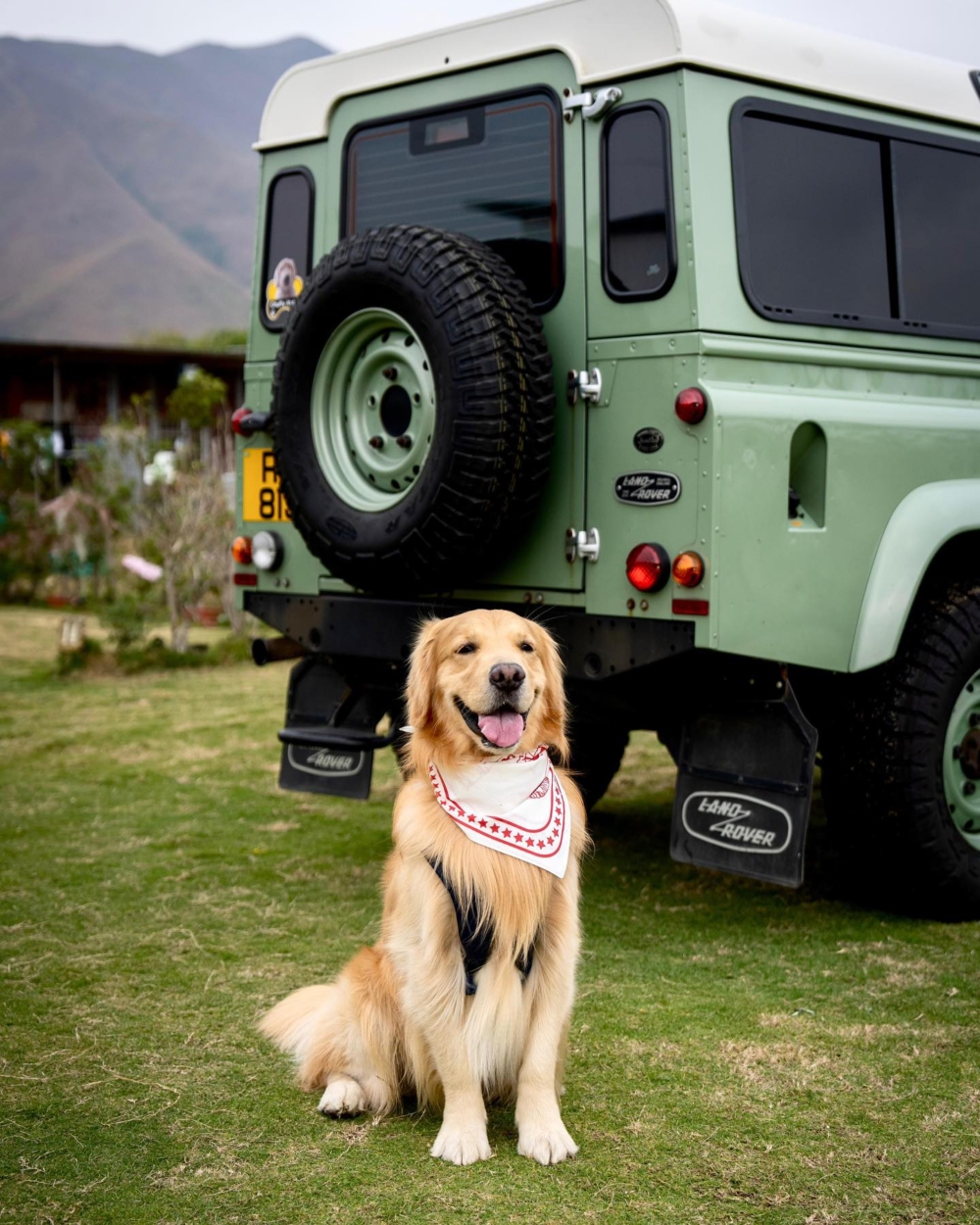 元朗 Autocamper 大江埔羅漢園是個廣闊寧靜的車中泊營地，設有高私隱度的木欄隔間營位，環境優美可遠眺雞公嶺和大帽山，並特別設計為寵物友善區，提供熱水淋浴和露營用品租借，適合寵物家庭在自然山景中享受BBQ。