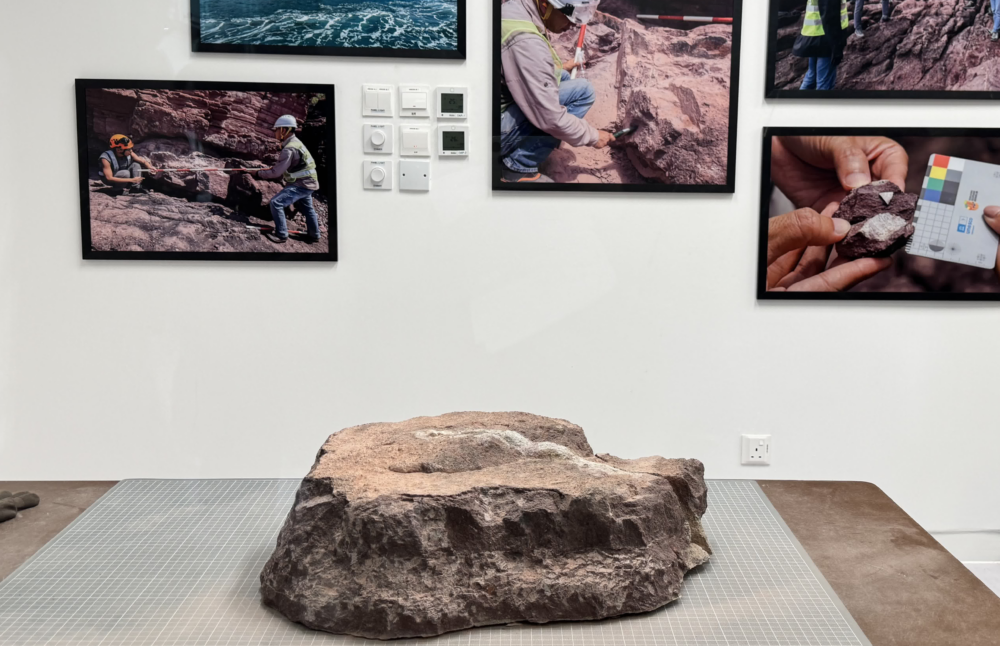 透過玻璃窗看到的清修區以及未修復完成的恐龍化石～