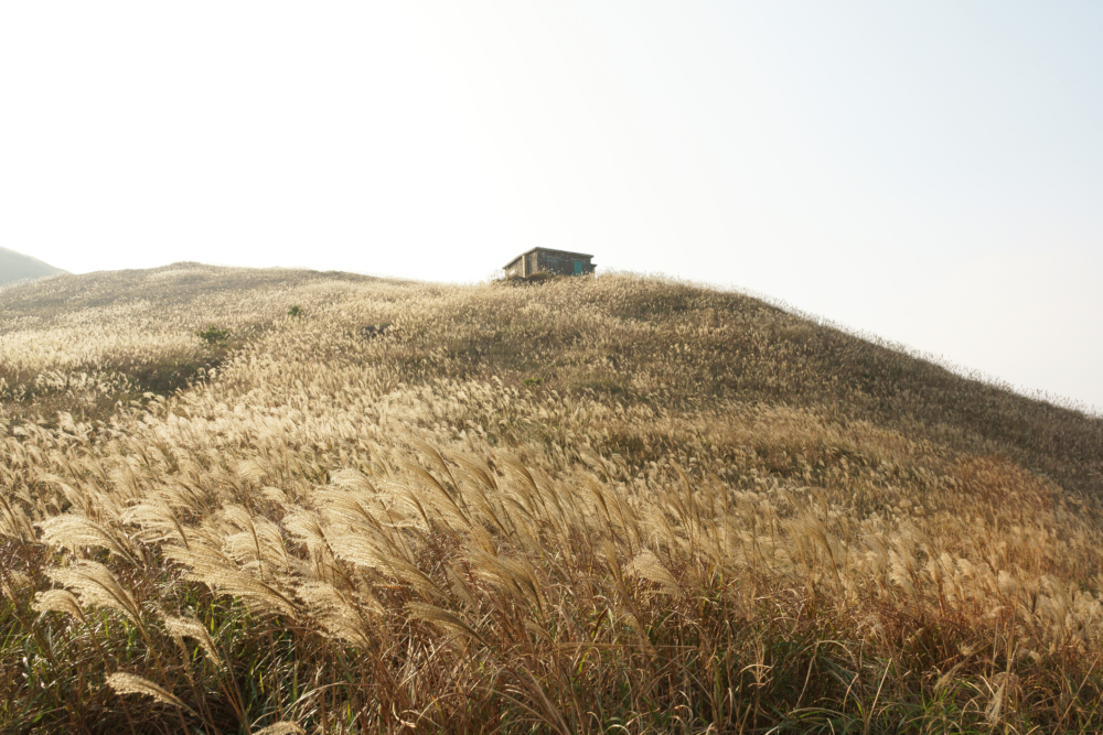 香港郊遊好去處推介：大東山。