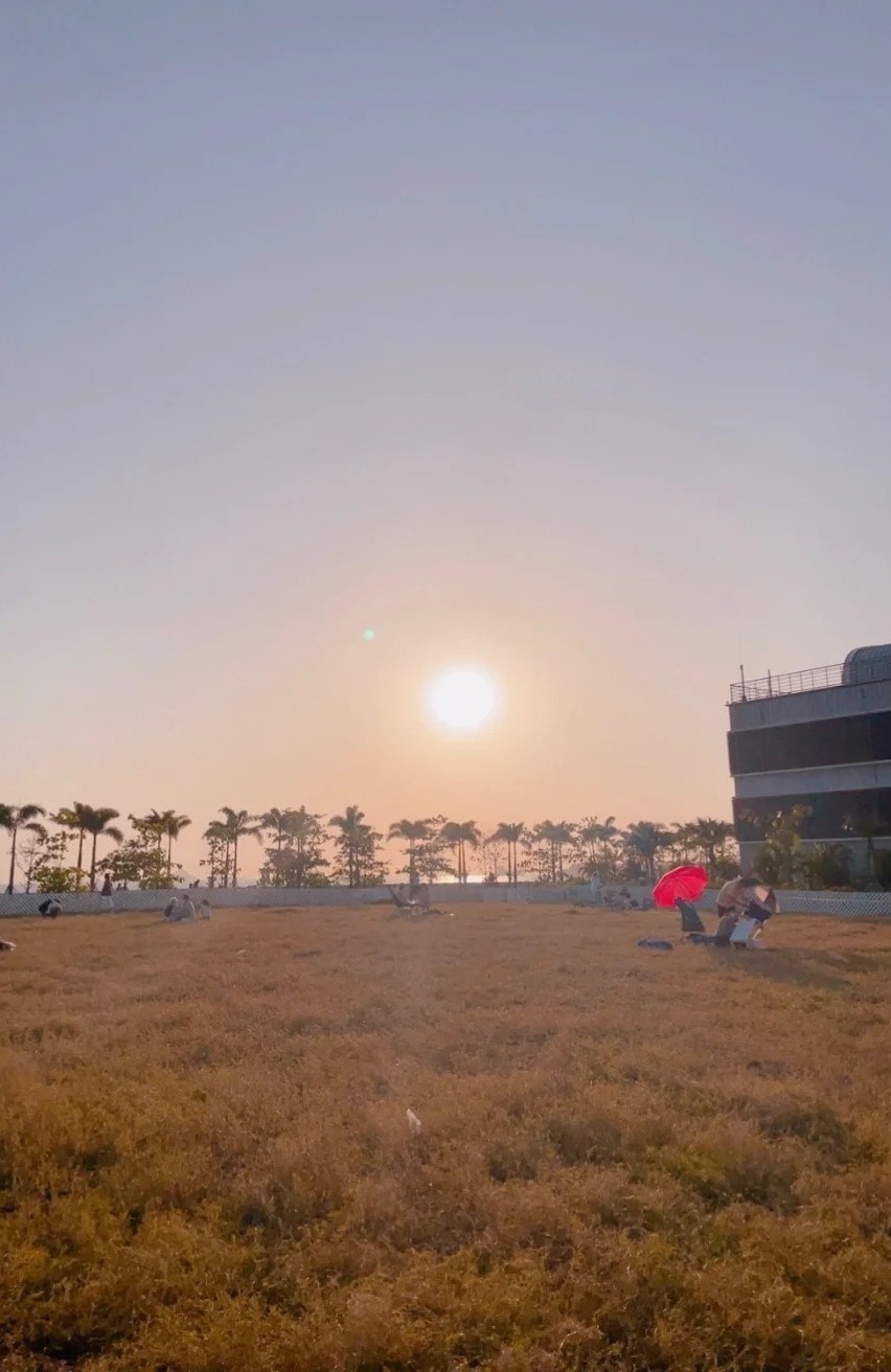 沿海堤壩旁有一排椰樹、廣闊草地，加上270度無敵海景與藍天白雲，營造出熱帶渡假風情