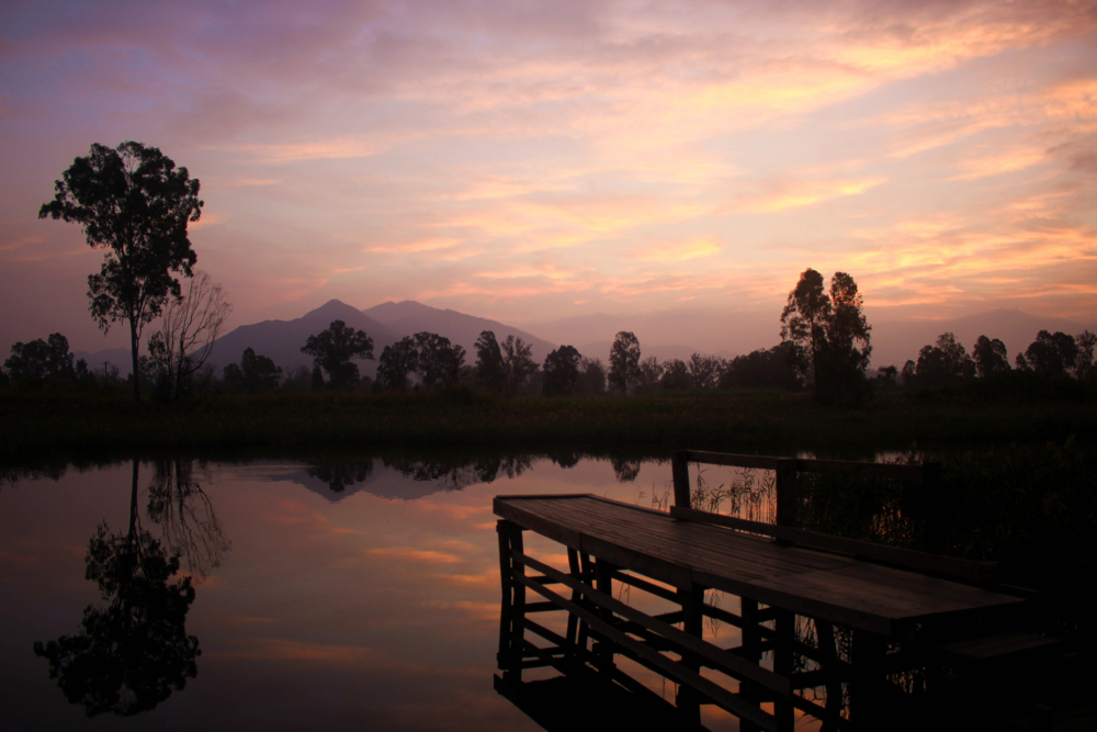 香港日出好去處：南生圍。