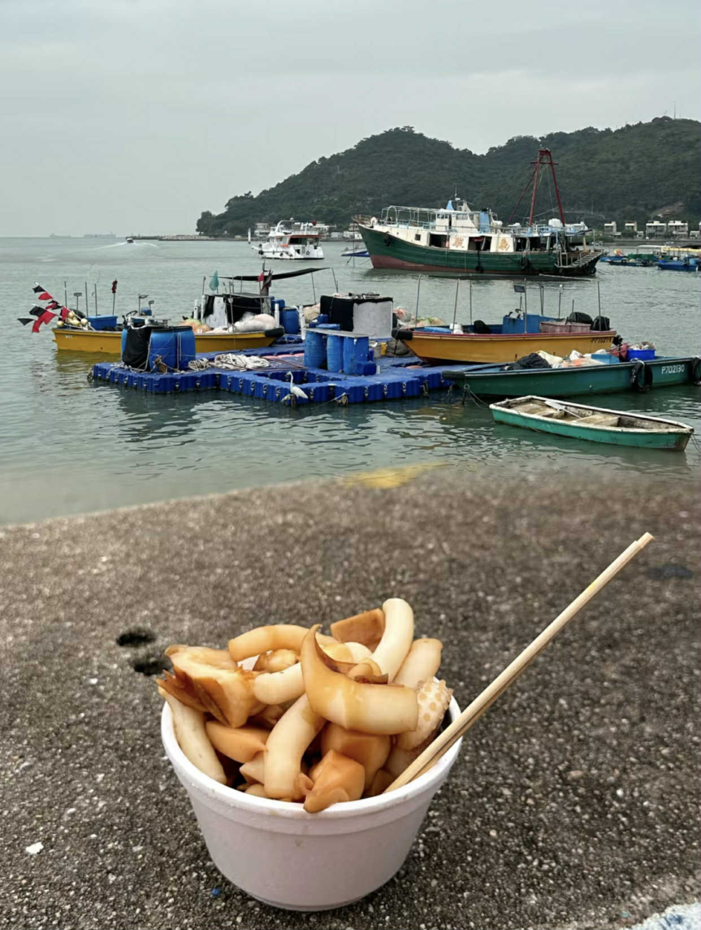 大澳美食推介：復興行_秘製大墨魚。