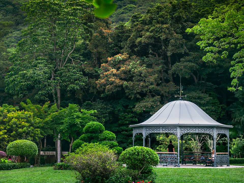 山頂公園坐落於香港島的最高點，不僅是香港著名的旅遊地標，更是一個能讓人遠離城市喧囂、沉浸於大自然美景的綠洲。