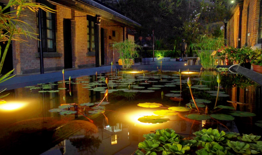 饒宗頤文化館夜晚的景色超有意境～