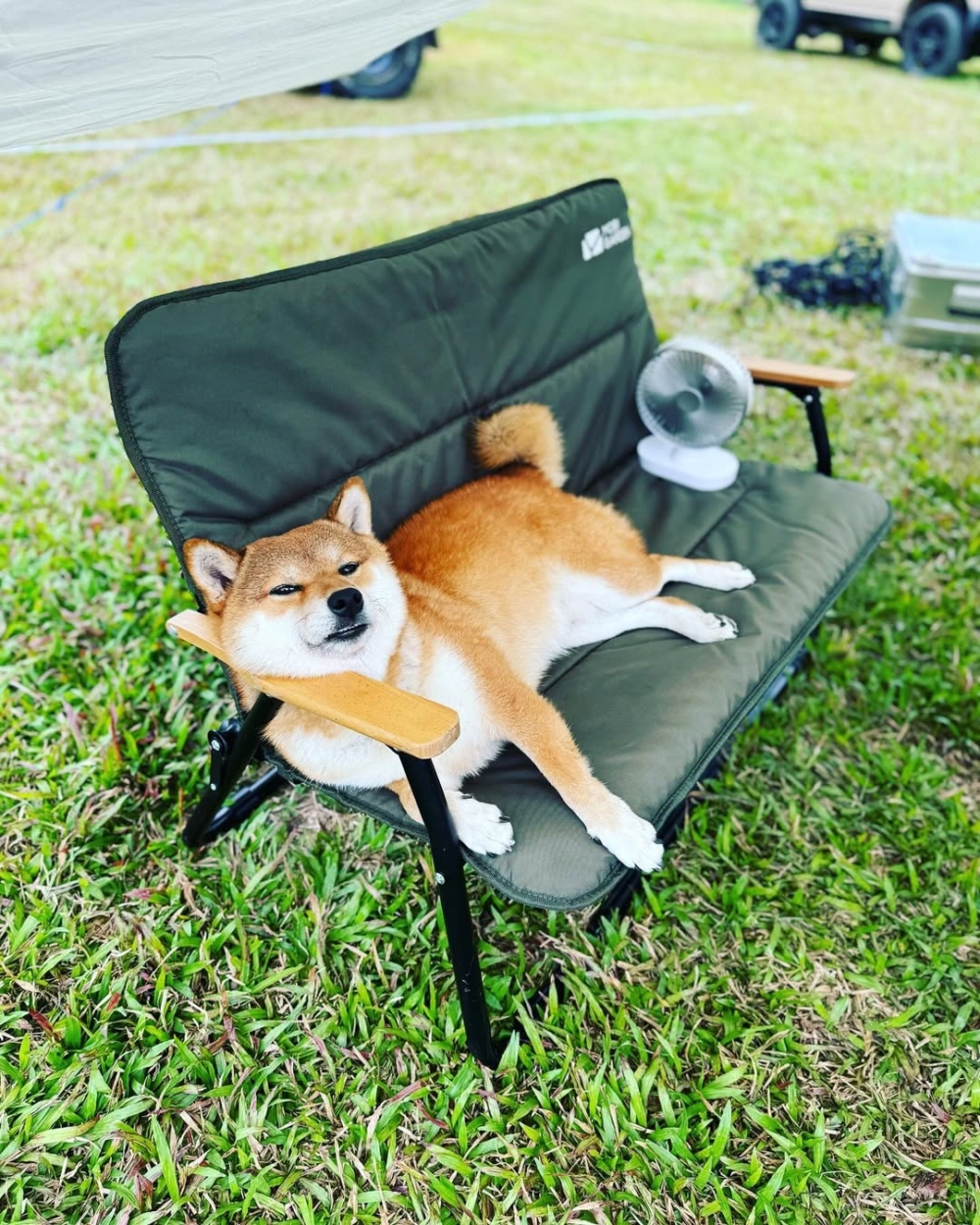 在香港進行車中泊前，必須選擇合法營地，遵守生火規定，確保車輛合法性，並預先準備充足物資及了解營地規則，以維護環境衛生和旅程安全。