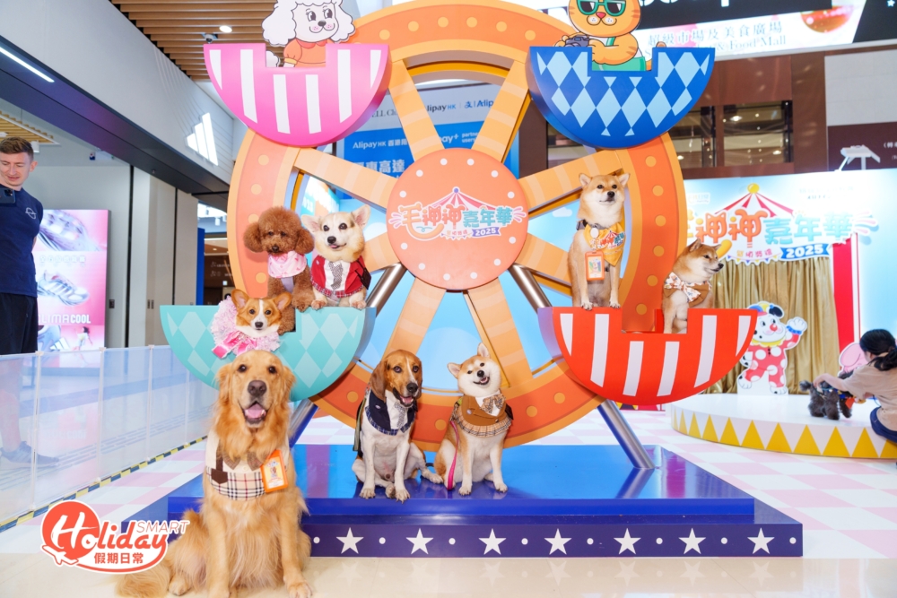 這是本次嘉年華最受歡迎的打卡點之一！多隻毛孩在主題摩天輪前合影，畫面溫馨又有趣。