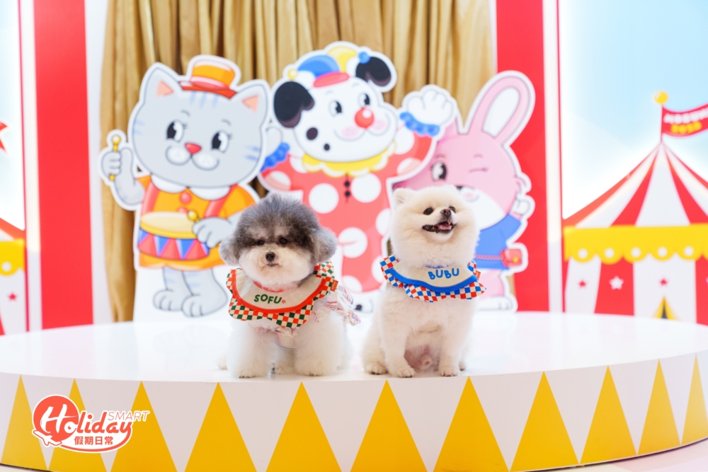 兩位超可愛的毛孩小編在小舞台上與嘉年華角色人偶影相，活潑又童趣。