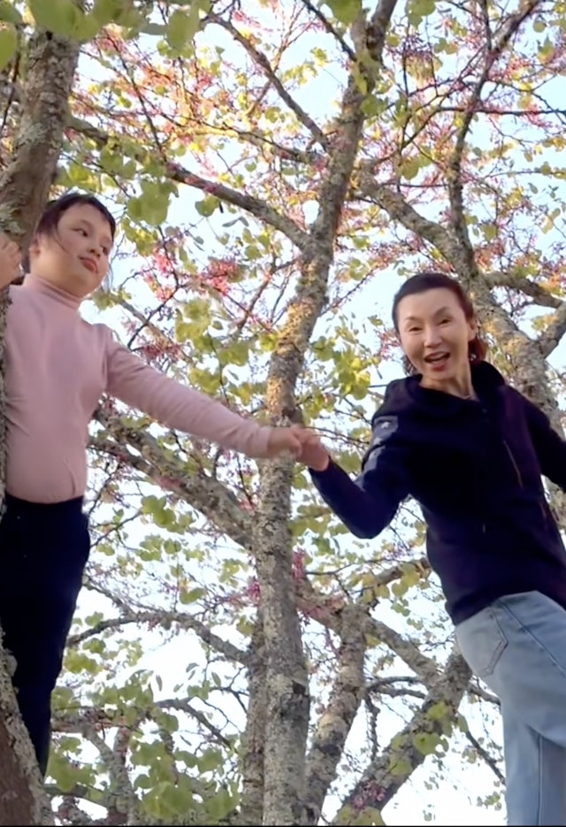 張曼玉近日在小紅書分享了去年首度造訪法國波爾多的Vlog