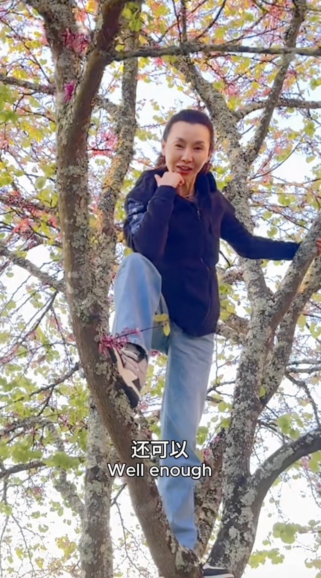 張曼玉近日在小紅書分享了去年首度造訪法國波爾多的Vlog