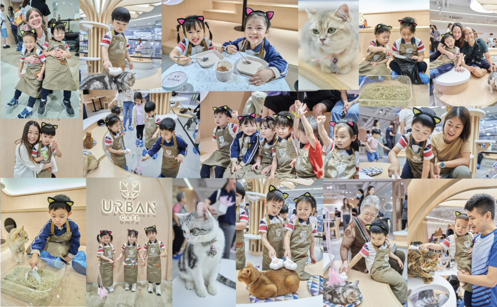  URBAN Cafe 貓店長職涯初體驗 用觸感學習愛與責任 