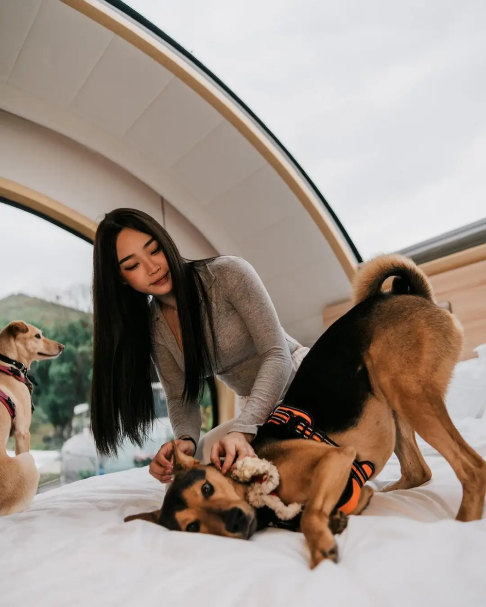 元朗露營車Glamping體驗，提供豪華太空艙、星空天窗、寵物友善車款等多元選擇，適合情侶、家庭與朋友輕鬆露營。