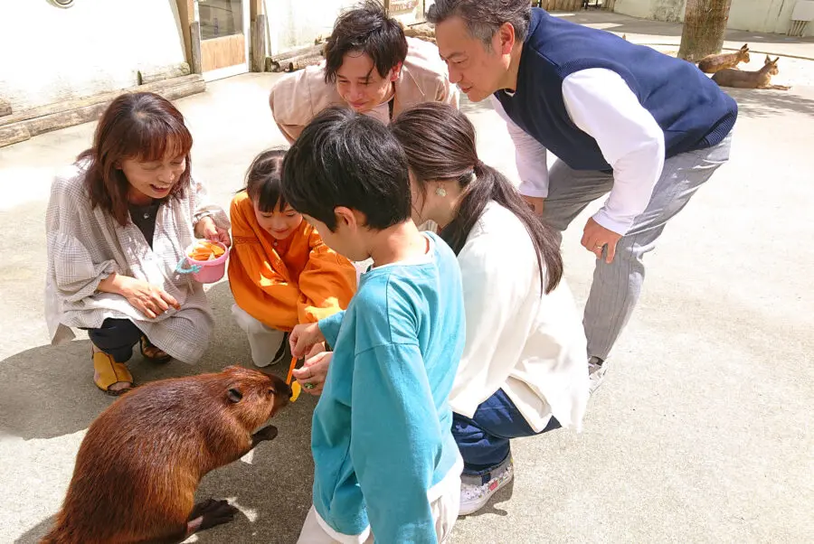 阿蘇農場樂園是獲政府認可的健康促進度假村,位於南阿蘇村,結合了多項運動挑戰設施、動物餵食互動、溫泉與住宿,讓親子家庭能在自然中享受運動、療癒與休閒的完整體驗。