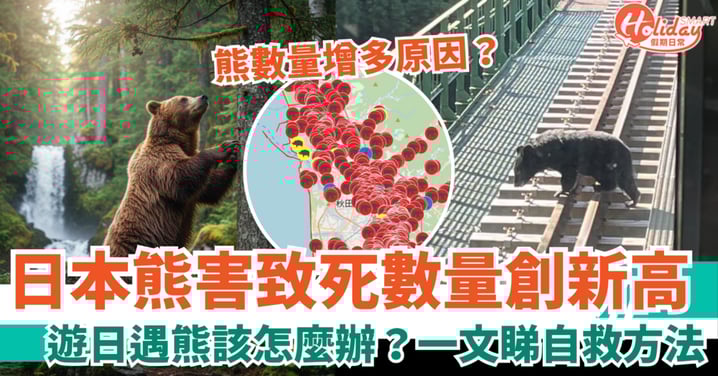 【日本熊害/攻擊事件】12人喪命創新高!遇熊唔好扮死?一文睇4大自救方法