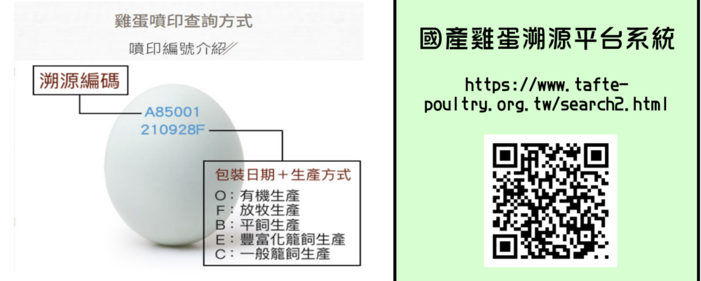 雞蛋噴印查詢方式