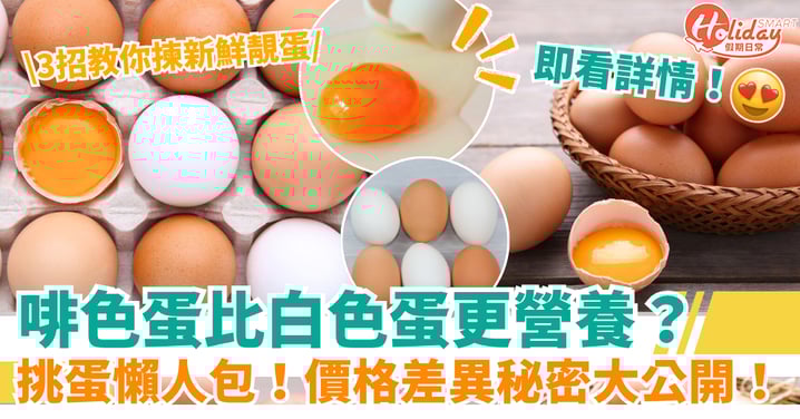 【挑蛋懶人包】啡色蛋比白色蛋更營養?價格差異秘密大公開!