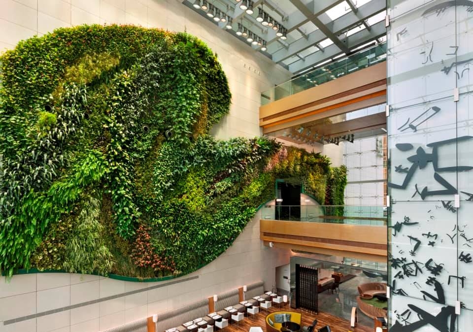 由香港理工大學酒店及旅遊管理學院設立,Hotel ICON 兼具時尚與文化氣息。客房寬敞明亮,部分享有壯闊維港海景。