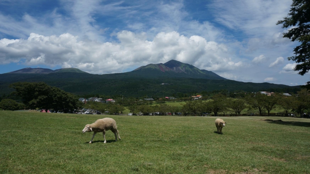 高千穗牧場是位於霧島山麓的觀光牧場,提供親手擠奶、餵食動物和自製香腸、冰淇淋等多樣手作活動,讓親子家庭在廣闊草原中體驗農牧文化並親近自然。
