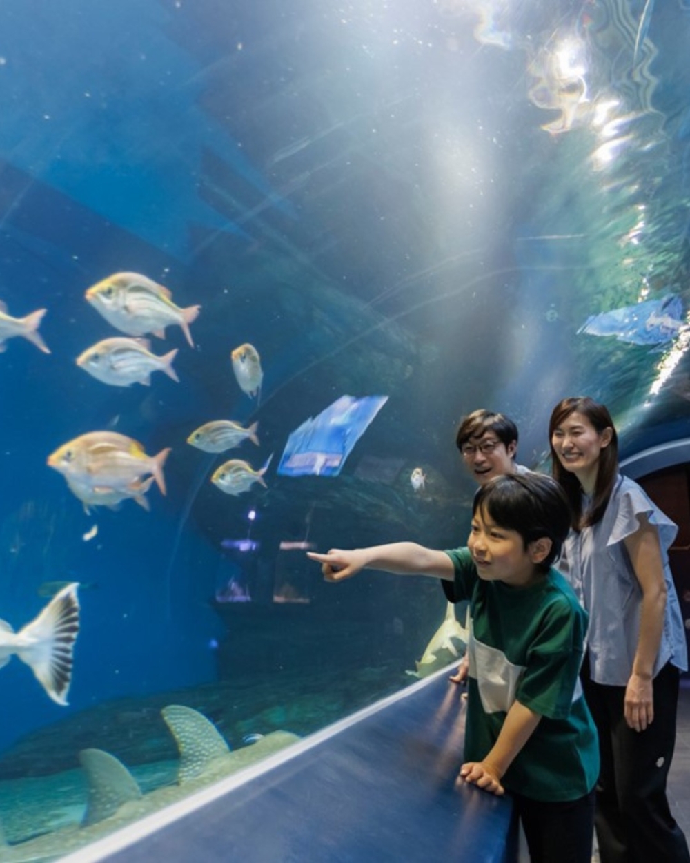 品川王子大飯店內設有品川水族館、泳池等多項設施,即使雨天也能盡情遊玩,並提供完善的兒童備品與托嬰服務,是兼具交通與親子娛樂的東京家庭酒店。