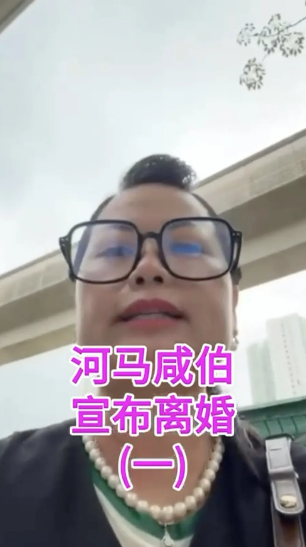 何伯其後亦有對何太是否真的育有一名兒子表示質疑,並根據何太「器官」進行判斷