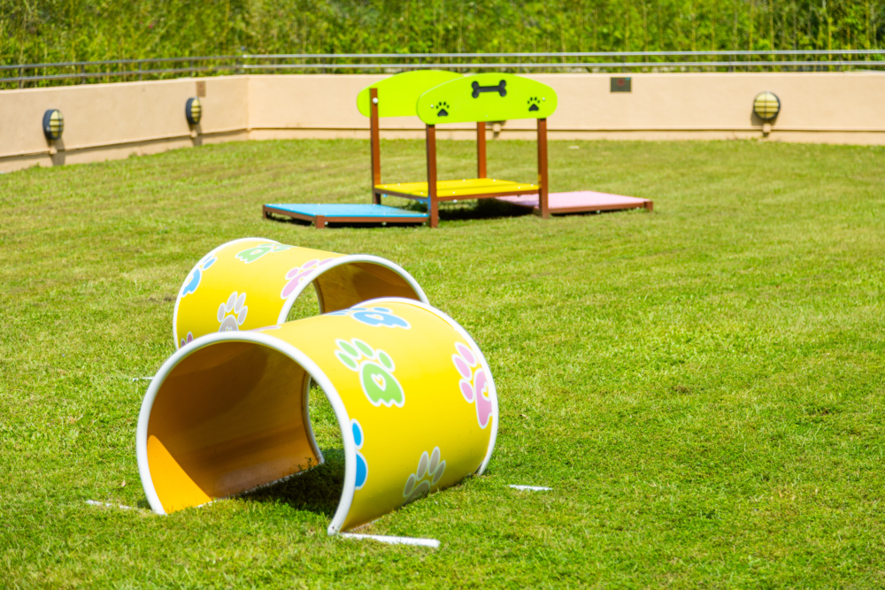 坐擁海景與開放式環境的數碼港商場，一直深受狗主歡迎。