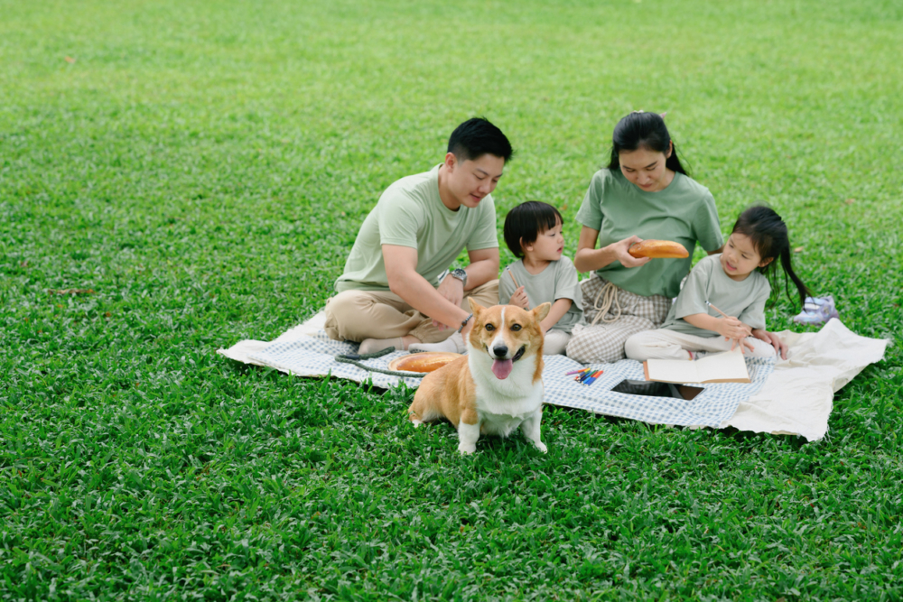 帶小朋友出門野餐，食物要安全、易咬、好玩又吸引。
