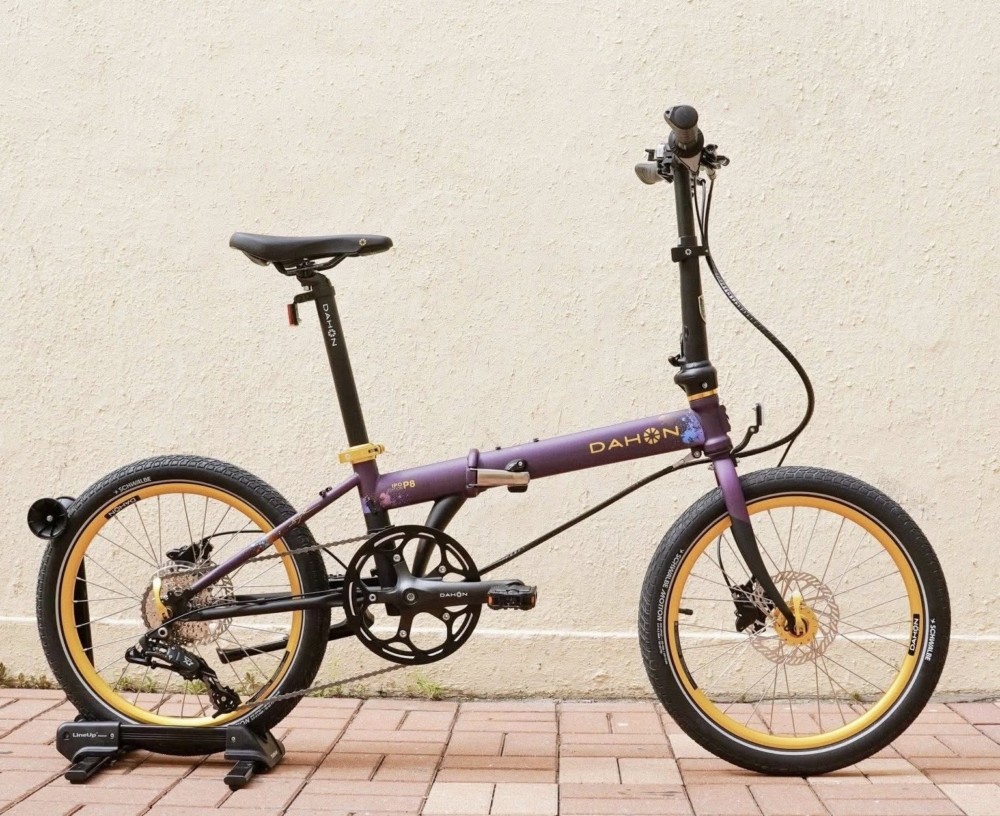 Sunny Bike Shop 是大嶼山東涌馬灣涌村的平價單車租借點，氣氛悠閒，店主會提供專業的單車路線建議，方便遊客邊騎行邊欣賞海景。