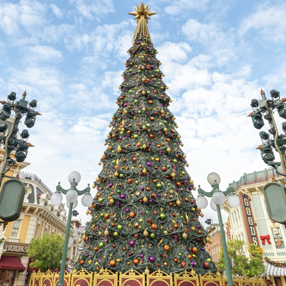 園內會換上聖誕主題燈飾、音樂表演，與一眾迪士尼朋友一起過節，夜晚在城堡附近再來一張聖誕打卡相，超有氣氛。