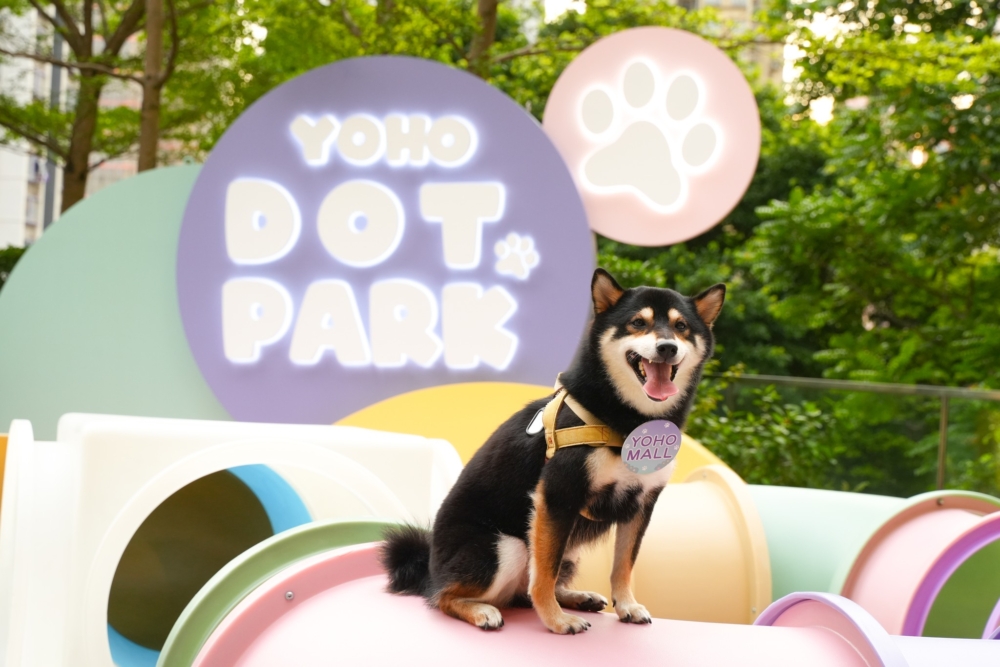 YOHO MALL 對毛孩真的超友善！商場內特設佔地約 8,000 呎的寵物公園 DOT Park，裡面分成三大主題區供毛孩與主人放電。
