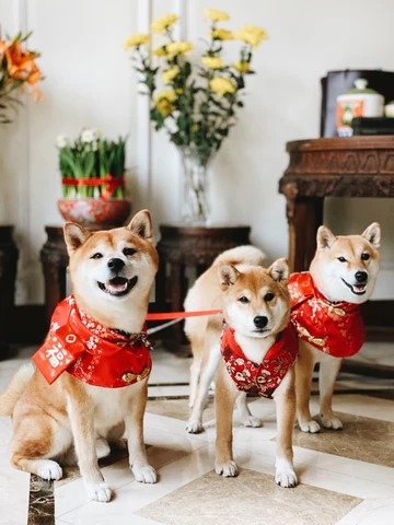 「品牌店長」是一隻名叫「黑糖」的柴犬，另外還有兩隻「好朋狗」「糖妹」與「熊仔糖」，象徵「狗狗是生活的一部分」，經常都會在店内站崗，不少客人也會特地前來朝聖。