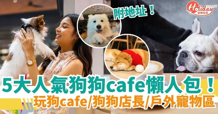 狗cafe2025｜5大香港人氣狗狗cafe懶人包！On Dog Dog Cafe・玩狗cafe・寵物cafe打卡地點一覽
