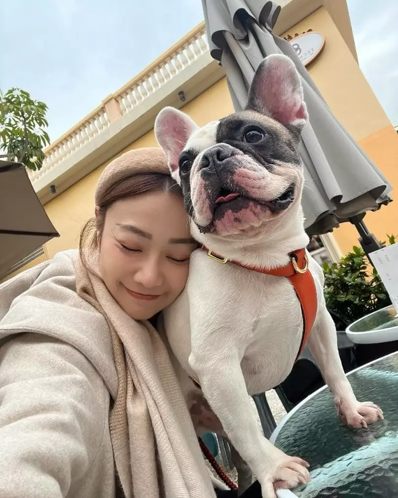 怎料發文後數小時，朱智賢竟再次在Threads平台發文投訴，今次則指工人姐姐拒絕帶愛犬散步