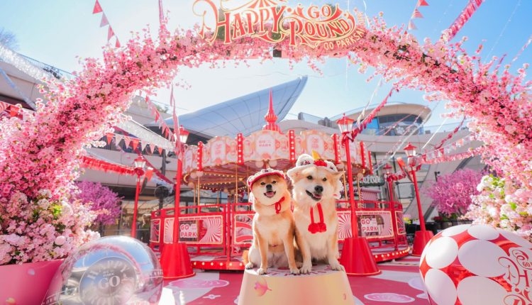 新年好去處2026｜西沙GO PARK：5.9米闊「炫夢旋轉木馬」／3米高桃花拱門