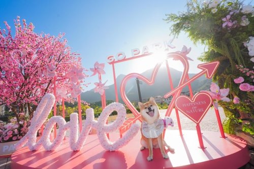 新年好去處2026｜西沙GO PARK：5.9米闊「炫夢旋轉木馬」／3米高桃花拱門