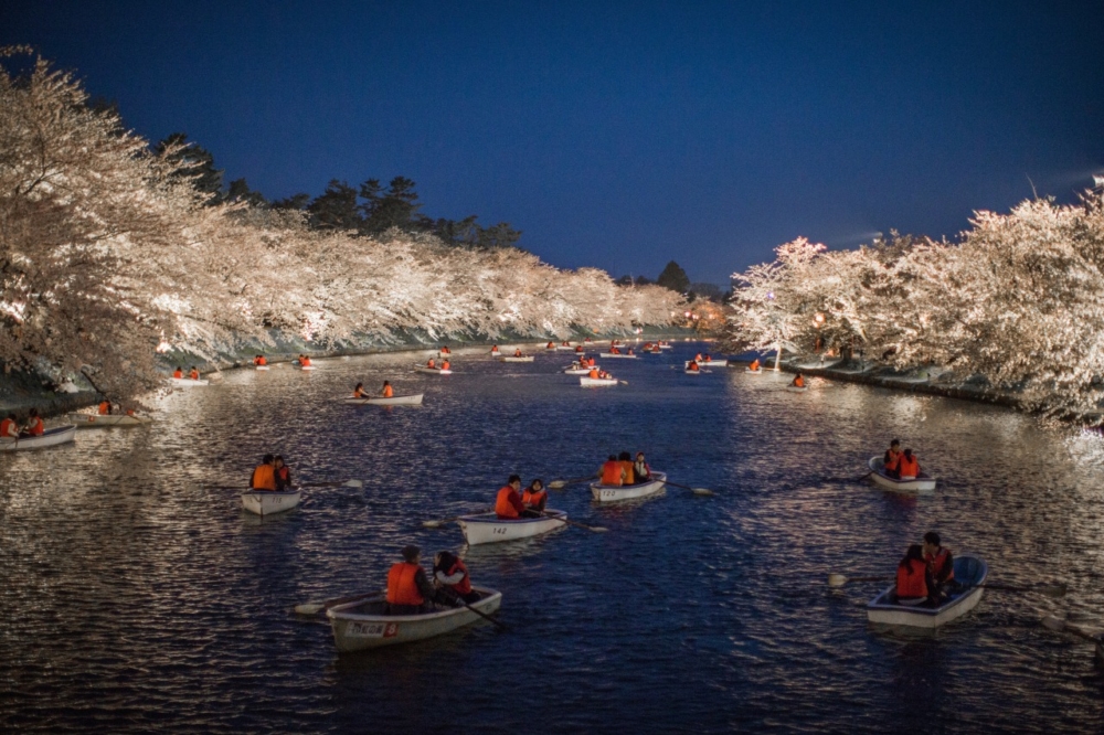 青森弘前公園 弘前櫻花祭