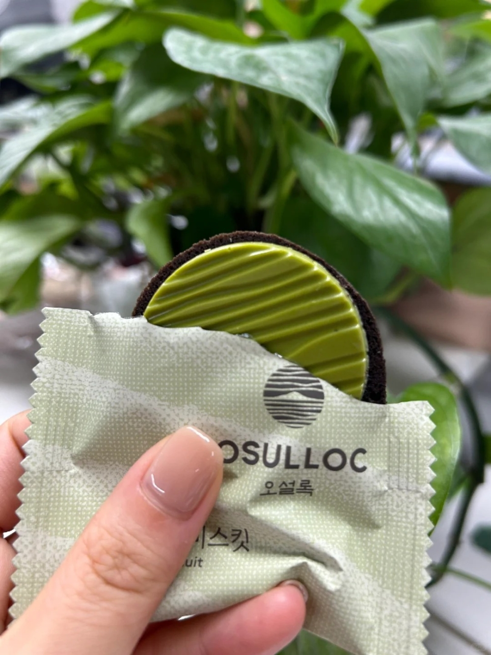 韓國零食手信2026｜7. Osulloc 抹茶餅乾