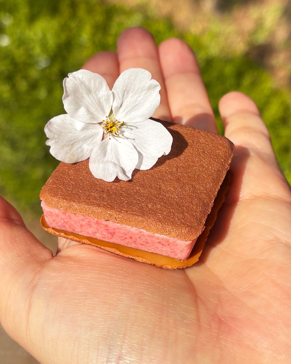 韓國零食手信2026｜5. XOCOSILOK 夾心餅乾