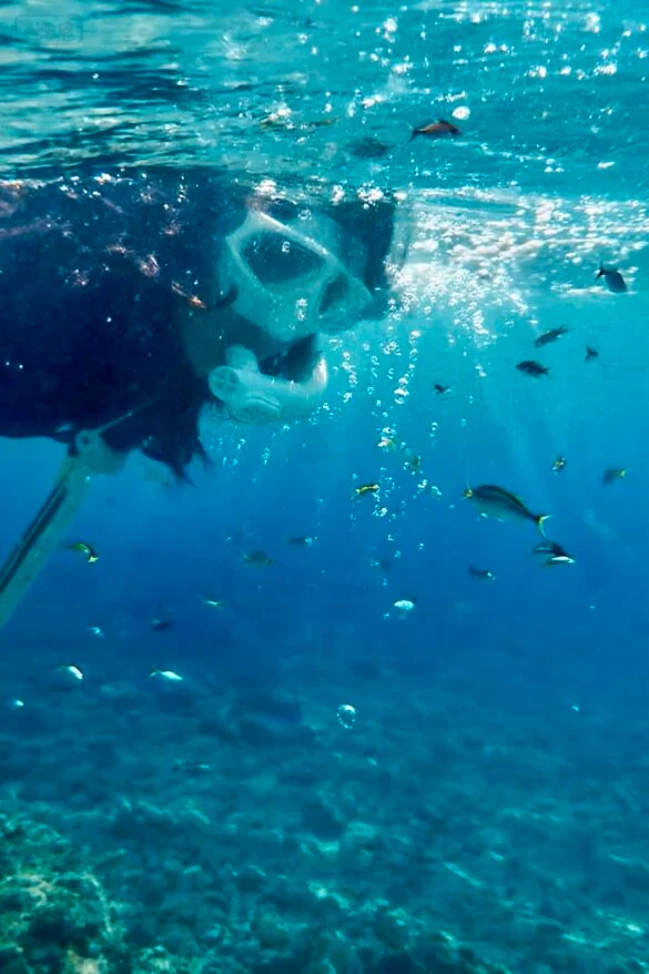 浮潛看魚群