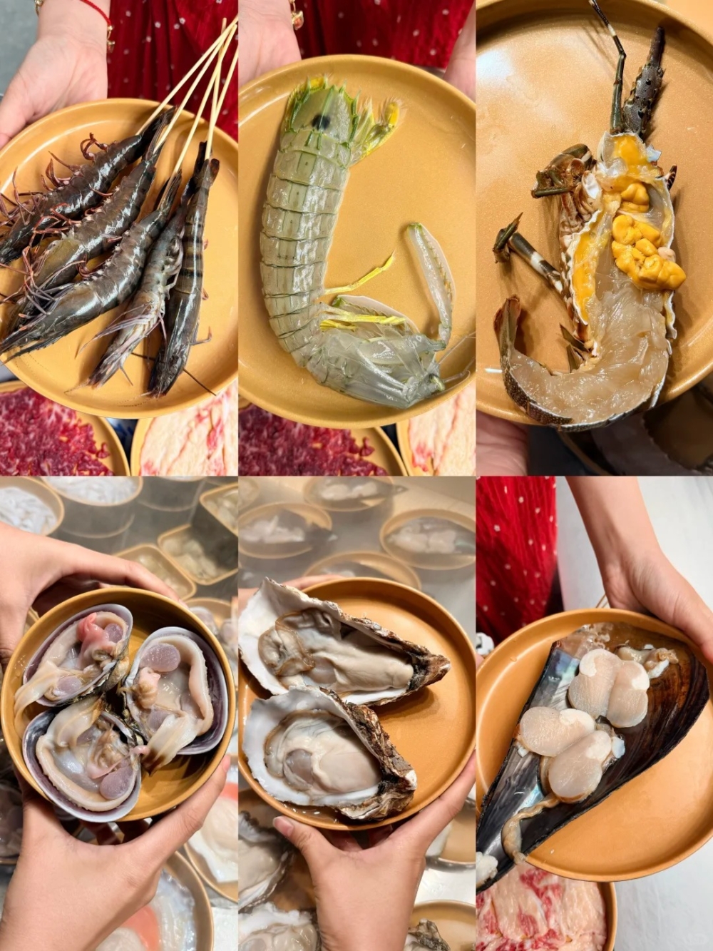 即撈海鮮成最大亮點｜鮑魚、生蠔、小青龍任揀