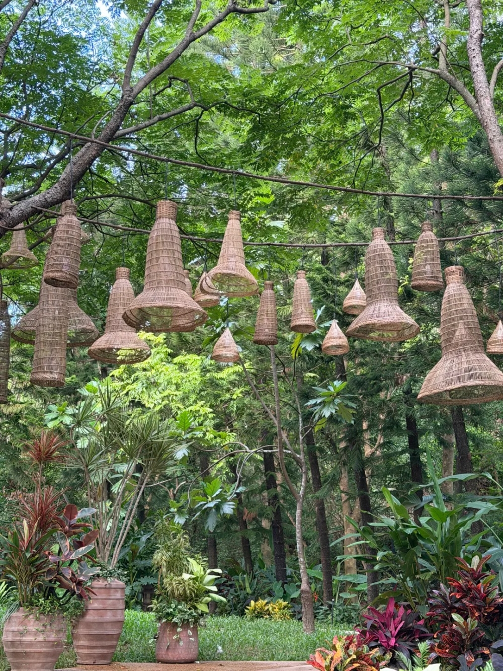 東南亞萬象花園