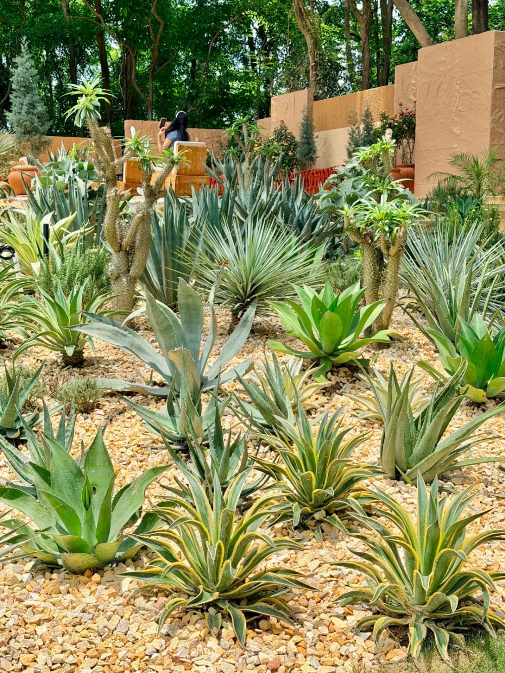 加州陽光花園