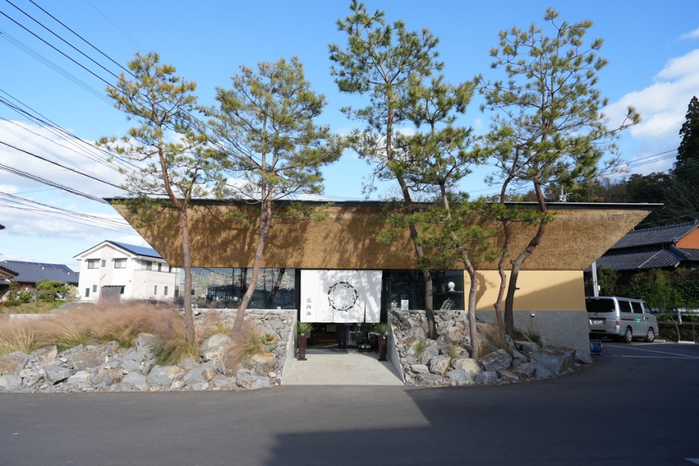 花店表明歡迎大家嚟到滿佈色彩繽紛乾花嘅小溫室打卡。